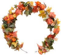 Pumpkin Maple Leaf Rattan